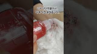 턱드름 심한고양이..집사 방치(ENG SUB)