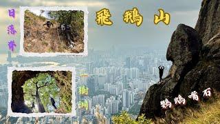 懸空感強烈之攀爬路線｜飛鵝山️日落脊｜鵝肚一樹洞｜鸚鵡咀石 [4K]