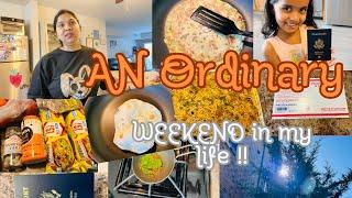 SOULFULORDINARYweekend IN LIfe,PARATHA omelette,WEEKLY GROCERY HAUL,Indian Mom VLOGGER USA,H4wifeUS