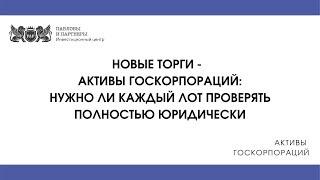 Активы госкорпораций - Нужно ли каждый лот проверять полностью юридически