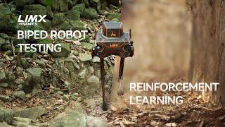 LimX Dynamics’ Biped Robot P1 Conquers the Wild Based on Reinforcement Learning