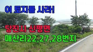 53.(매매완료)이 토지를 사라! 당진시 신평면 매산리22,27,28번지