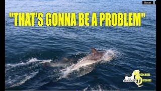 SMALL BOAT SHARK FISHING "THAT'S GONNA BE A PROBLEM" MUST WATCH FOOTAGE