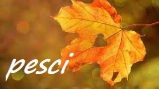 PESCI....DOPO UNA TEMPESTA SEMPRE ARRIVA LA SERENITà!