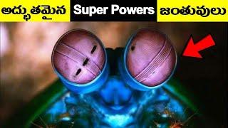 సూపర్ పవర్ జంతువులు | Amazing Animals With Real Super Powers In Telugu |Interesting, Unknown Facts |