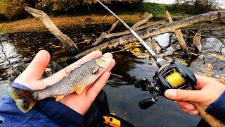 cette imitation de POISSON MORT est REDOUTABLE !!! pêche du brochet en rivière peu profonde