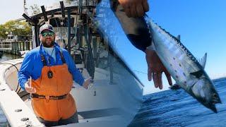 Gearing Up for Albies with Capt. Brian Coombs | Rods, Reels, Lures, & Electronics for False Albacore