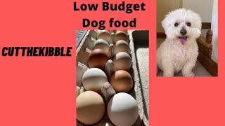 Low Budget Dog Food