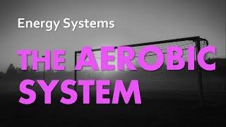 Aerobic System | Energy Systems 04 | Anatomy & Physiology