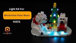 Classic Light Kit For LEGO 40571 Wintertime Polar Bears