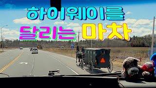 [Diesel Gypsy][Vlog #463] 마차도 하이웨이를 달리는 캐나다 시골 !!(feat 슈페리어 호수)