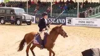 The Final of the Land Rover Tent Pegging