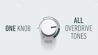 Tube Screamer, Bluesbraker, Klon, King of Tone and many more - All Overdrive Tones in One Knob