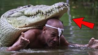 Cet homme a sauvé un crocodile de la mort. Des années plus tard, l'incroyable s'est produit...