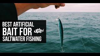 Best Artificial Bait For Saltwater Fishing