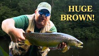 Dark Skies Fly Fishing: Monster Brown Trout in the Middle of Summer!