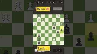 the 64 squares episode 24! brain vs luck 