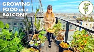 Couple Growing a Surprising Amount of Food on Their Balcony – Thriving City Garden