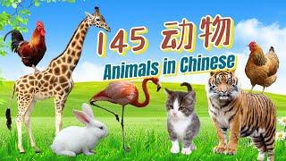 145 Animals in Chinese | 145種動物的中文名稱 | Learn Animals Sounds and Names | 中文加油站GG