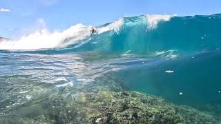 SHALLOW REEF SHRED IN REUNION // 2 SESSIONS WITH ZIGGY CAVIER & CO #bodyboarding