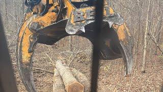 In cab view Cutting topping and shoveling wood with the Bell Ultra T Feller buncher