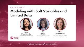 Modeling with Soft Variables and Limited Data