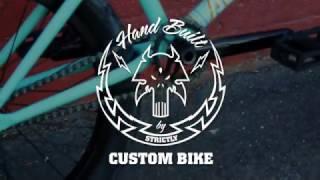 BSD ALVX custom bike