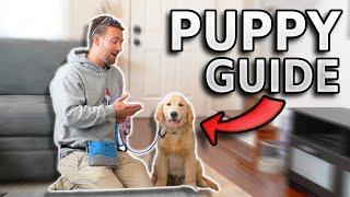 Puppy TRAINING - The FIRST Things To Teach Any Puppy!