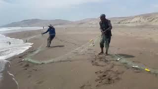 Tio Víctor..full pesca con su compañero armando… playita Chifa