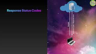 What Are HTTP Response Codes? A Beginner's Guide - Rest API T-6