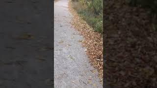 a tour of the trails near me