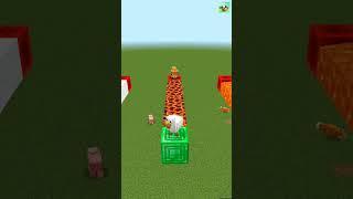 Fox vs Chicken #shorts #minecraft