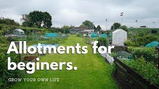 Allotments for beginners - vegetable gardening