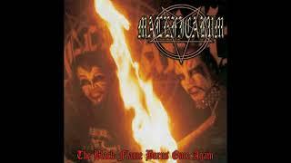 Maleficarum | Magnum Bellum
