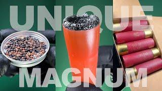 SHOTGUN CARTRIDGES FROM USA