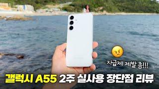 자급제 제발 쫌!!! 갤럭시 A55(퀀텀5) 2주 실사용 장단점 리뷰