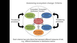 Assessing ecosystem risks: The IUCN Red List of Ecosystems