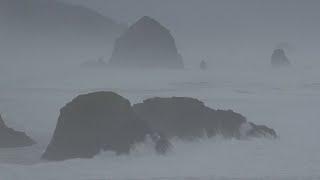 Spot a spout: Winter whale watching on the Oregon Coast