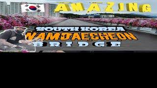 #south korea #tourist attraction NAMDAECHEON BRIDGE