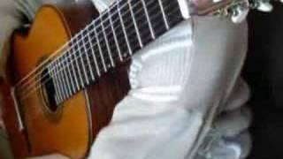 Alexander Vynograd - Flight of the Bumblebee 220 bpm
