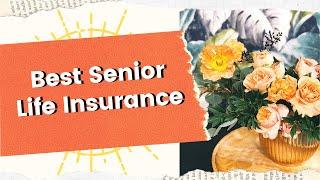 Best Senior Life Insurance