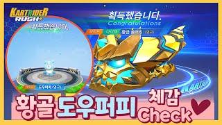 카러플32시즌 "상점 펫 도우퍼피" + 황금골머리 조합.. 진짜 솔직하게 말하자면...