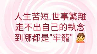 11/8葉子老師猿猴式超慢跑還您健康不是夢