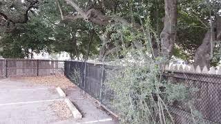 Dealey Plaza, Dallas, TX, behind the picket fence and grassy knoll.  JFK assassination.