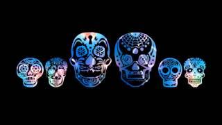 VJ LOOP Mexican Skull x6 solarise (free Vj Material)