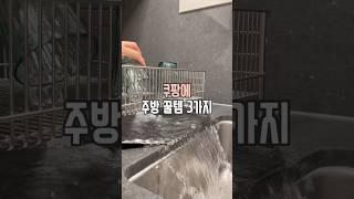 쿠팡 주방 꿀템 3가지 #살림남