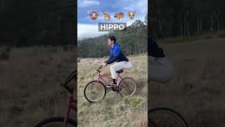 If Different Animals Rode Bikes. Part 2