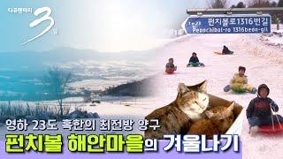 [다큐3일 풀버전] 최전방 양구 펀치볼 마을의 겨울나기 (KBS 100124 방송)