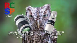 Canon 400mm Prime vs 100-400mm Zoom