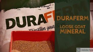 Duraferm Loose Goat Mineral | Trying Out a New Loose Mineral for Our Boer Goats